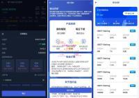 Phemex多语言交易所源码/期权交易+合约交易+新币申购+锁仓挖矿+平台币发行+K线行情控